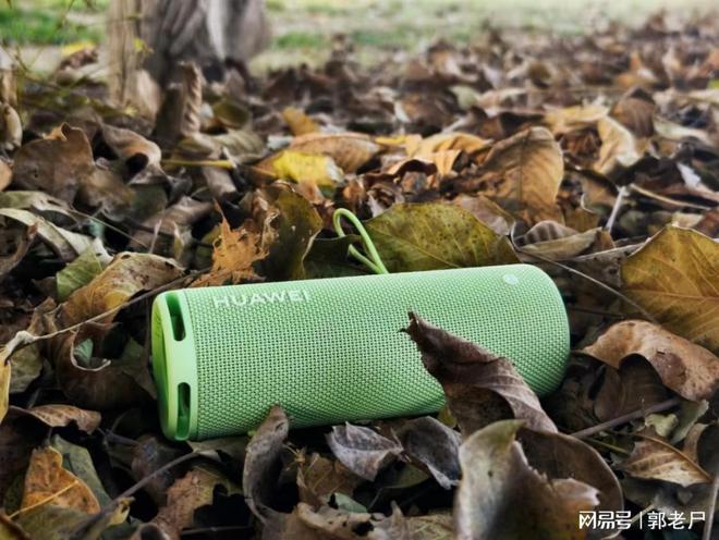 WEI Sound Joy 2去拥抱自然九游会j9登录双11户外音箱推荐带HUA(图6)